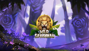 Wild Savannah