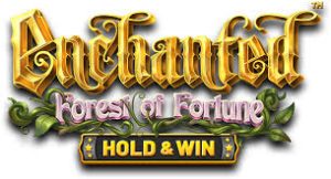 Enchanted Castle